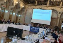 Ελληνική συμμετοχή στη συνεδρίαση του του Ευρωπαϊκού Δικηγορικού Συλλόγου (CCBE) στη Βιέννη
